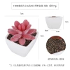 Simulated square plastic POTS for succulents are exclusively available for export Application Scenario